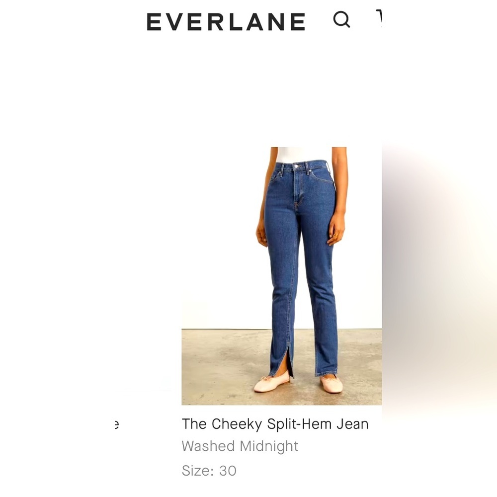 Everlane Cheeky Split Hem 30